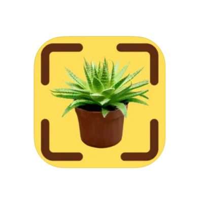 PlantIdentify