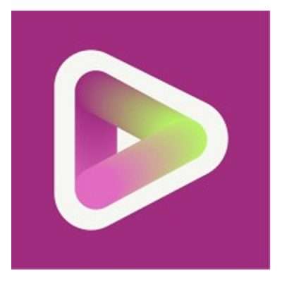 Vidyo AI