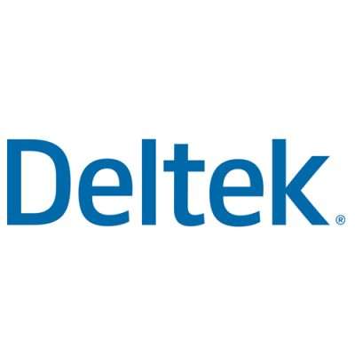 Deltek Vision