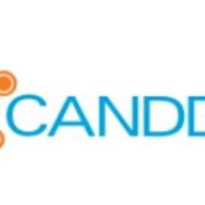 Boostez Votre Visibilité en Ligne avec Canddi.com : Solutions Innovantes pour Entreprises